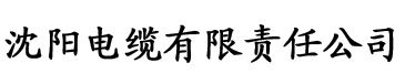 大香蕉伊人久久在线电缆厂logo